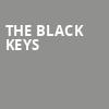 The Black Keys, TD Garden, Boston