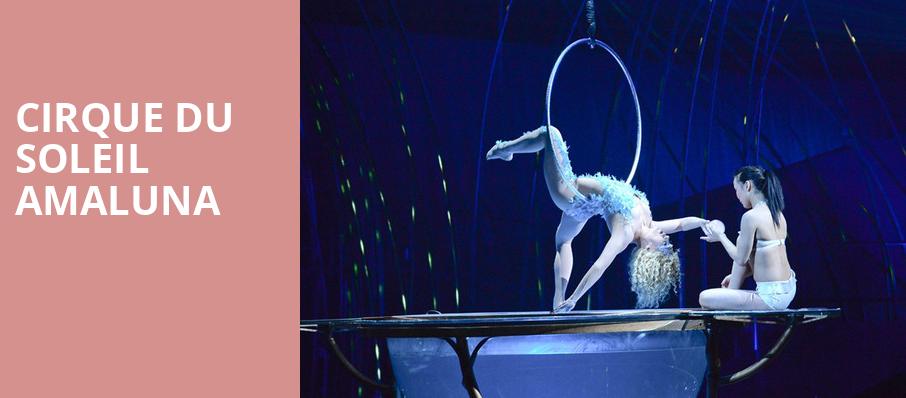 Cirque du Soleil Amaluna On Tour - Tickets, information ...