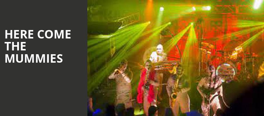 Here Come The Mummies, Nashua Center For The Arts, Boston