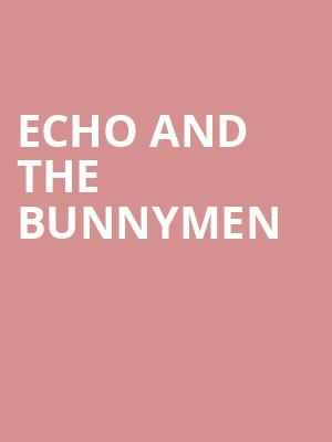 Echo and The Bunnymen Poster