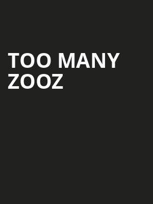 Too Many Zooz, The Sinclair Music Hall, Boston