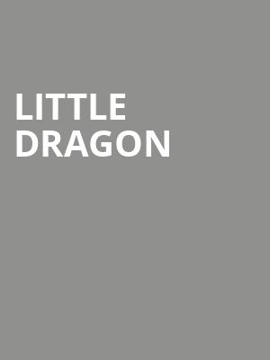 Little Dragon Poster
