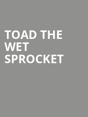 Toad the Wet Sprocket Poster
