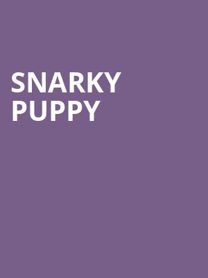 Snarky Puppy, Roadrunner, Boston