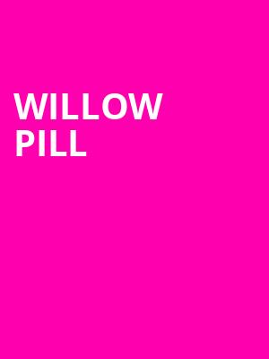 Willow Pill, Paradise Rock Club, Boston