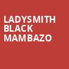Ladysmith Black Mambazo, Somerville Theatre, Boston
