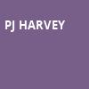 PJ Harvey, MGM Music Hall, Boston