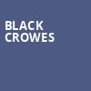 Black Crowes, Tanglewood Music Center, Boston