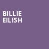Billie Eilish, TD Garden, Boston