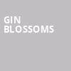 Gin Blossoms, Chevalier Theatre, Boston