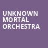 Unknown Mortal Orchestra, Roadrunner, Boston