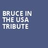 Bruce In The USA Tribute, Blue Ocean Music Hall, Boston