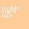 The Wild Hearts Tour, Rockland Trust Bank Pavilion, Boston