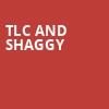 TLC and Shaggy, Xfinity Center, Boston