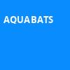 Aquabats, Big Night Live, Boston