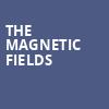 The Magnetic Fields, Roadrunner, Boston