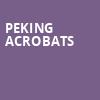 Peking Acrobats, Nashua Center For The Arts, Boston